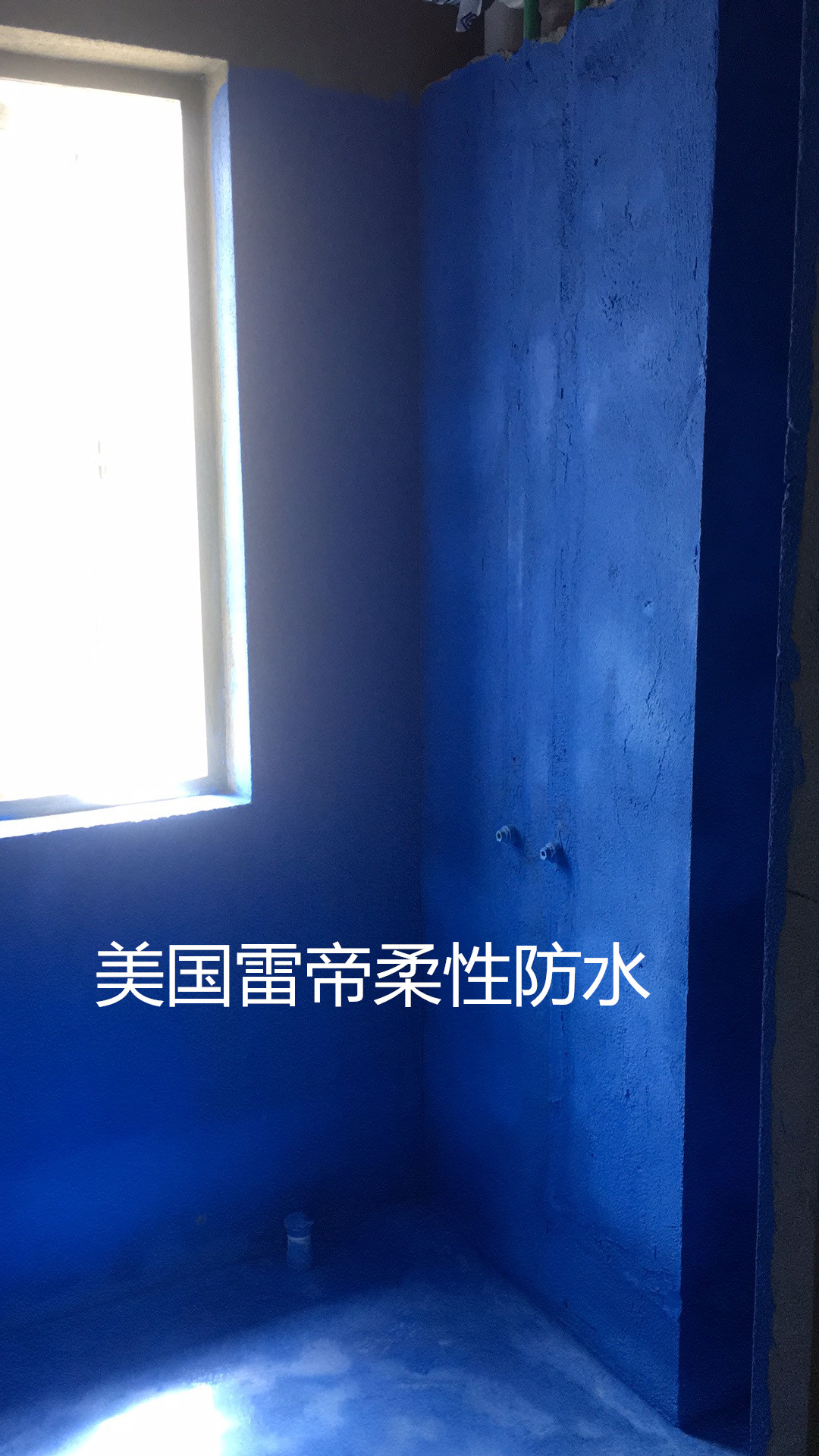 微信圖片_201908121055541.jpg